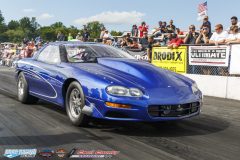 yellow-bullet-sat-488