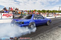 yellow-bullet-sat-492