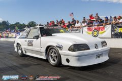 yellow-bullet-sat-503