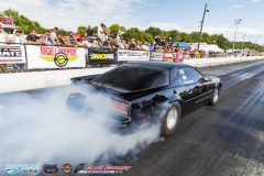 yellow-bullet-sat-529