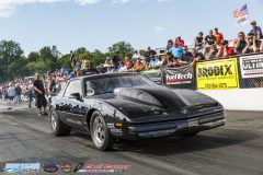 yellow-bullet-sat-530