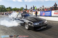 yellow-bullet-sat-534