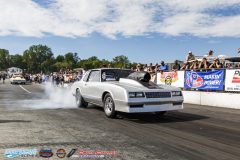 yellow-bullet-sat-539
