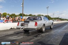 yellow-bullet-sat-543