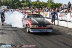 yellow-bullet-sat-563-2