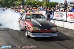 yellow-bullet-sat-564-2