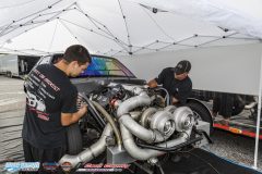 yellow-bullet-sat-59