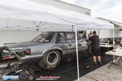 yellow-bullet-sat-62