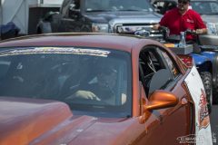 yellow_bullet-15