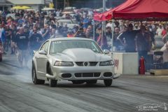 yellow_bullet-43