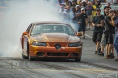 yellow_bullet-49