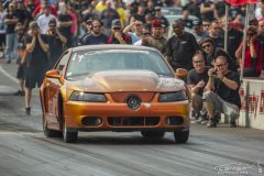 yellow_bullet-50