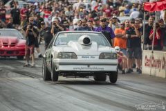 yellow_bullet-61