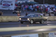 yellow_bullet_sat-15